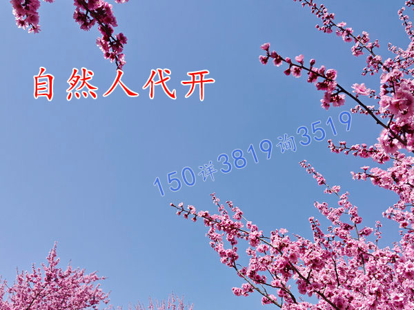河南自然人代開好申請嗎