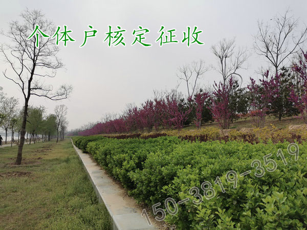 鄭州個體戶核定征收園區里好注冊嗎