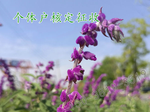 焦作個(gè)體戶核定征收個(gè)稅個(gè)體戶工商入駐園區(qū)