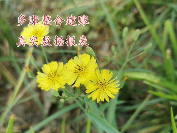 財務外包：財務管理的新趨勢