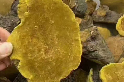 鄭州藥料儲存時相對濕度對其質量有哪些影響？